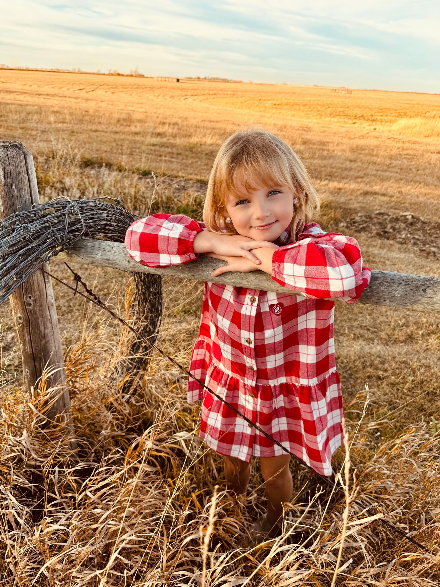 Red Delicious Plaid Dress - Child