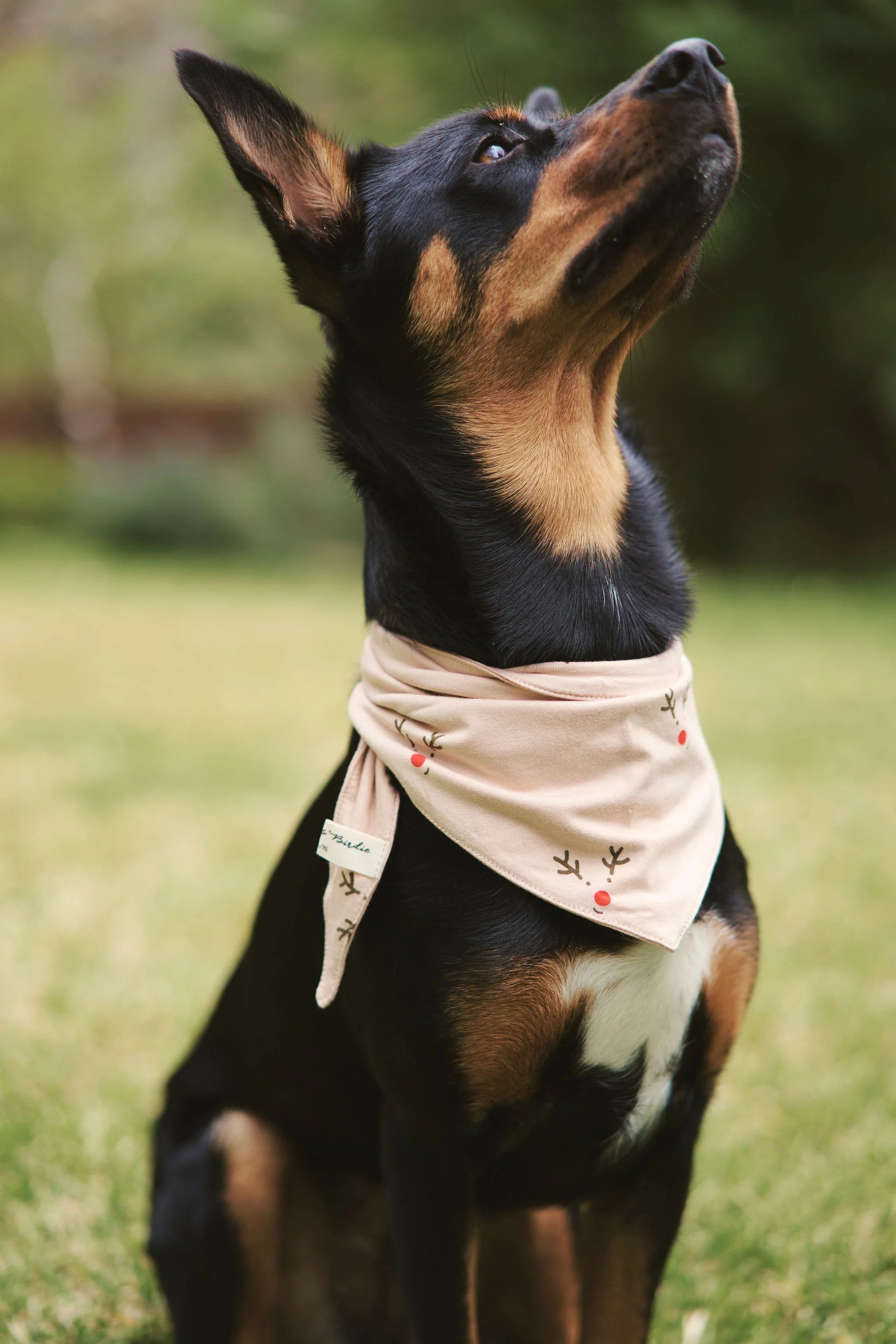 Reindeer Bamboo Bandana