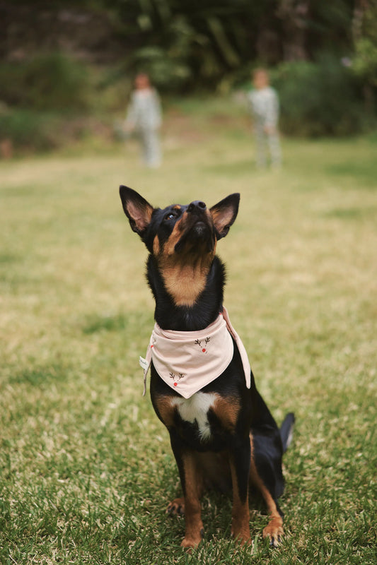 Reindeer Bamboo Bandana