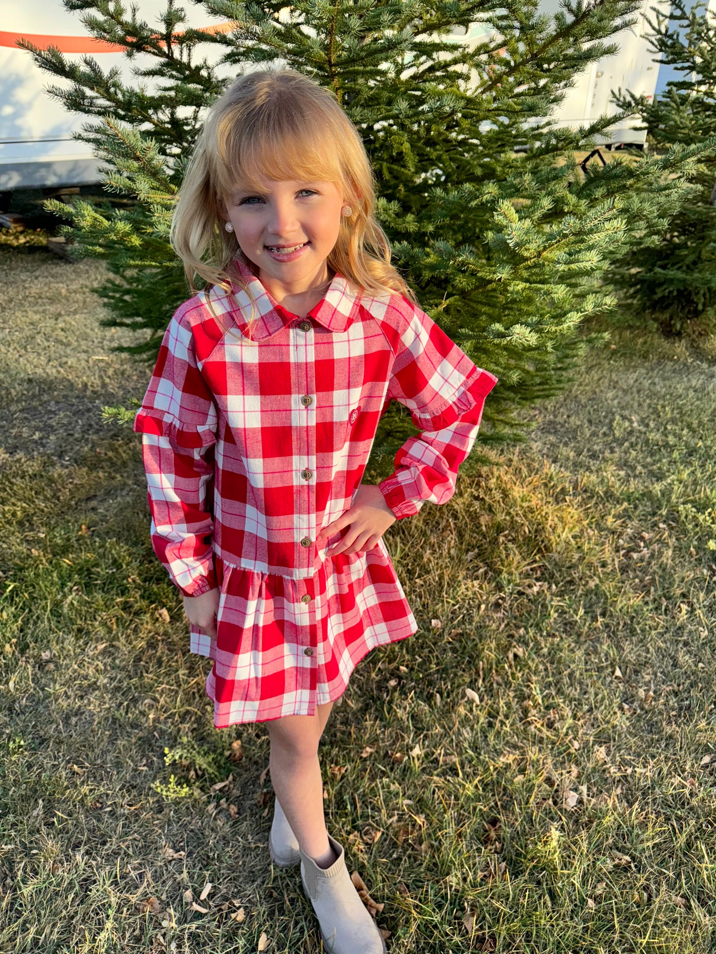 Red Delicious Plaid Dress - Child