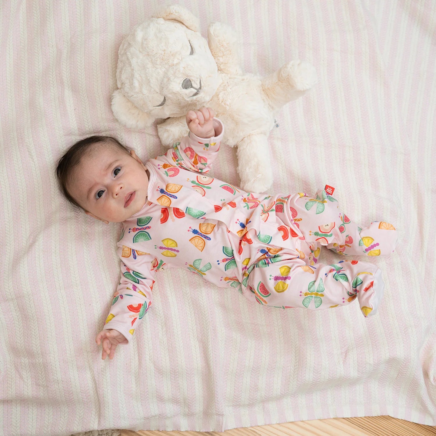 Fruit Flies Footie Magnetic Sleeper