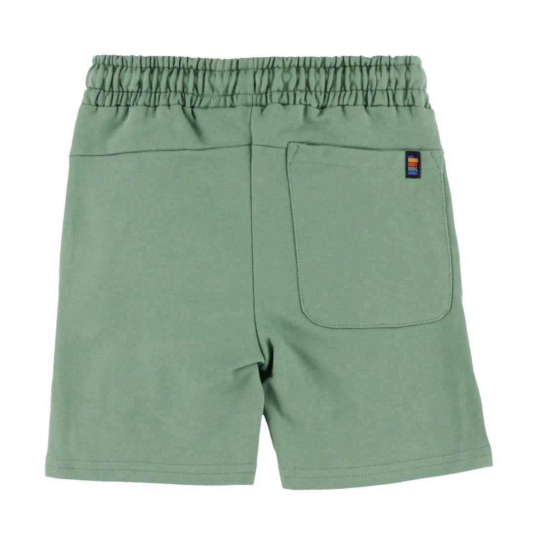 Sage Green Active Shorts