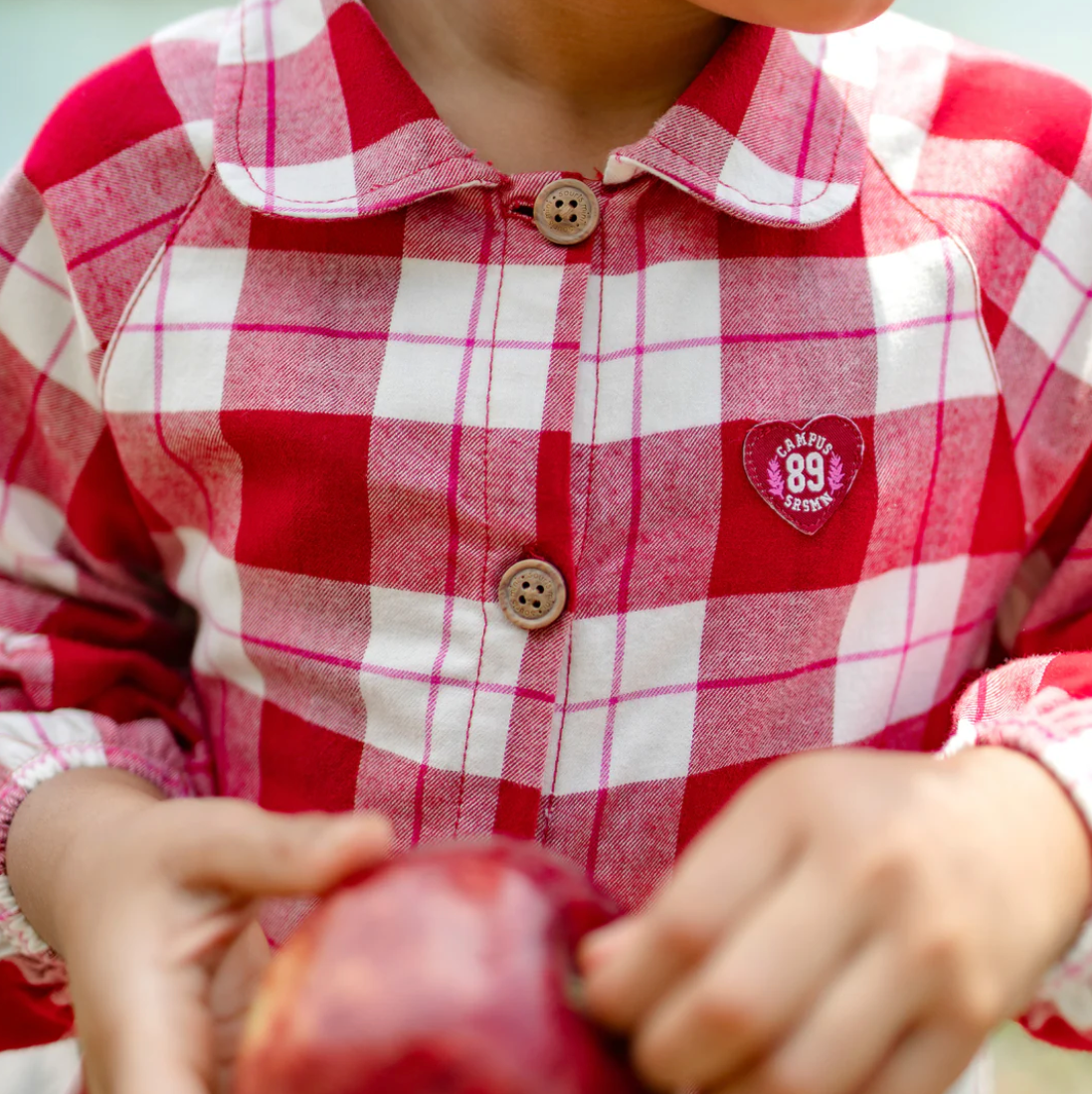 Red Delicious Plaid Dress - Child