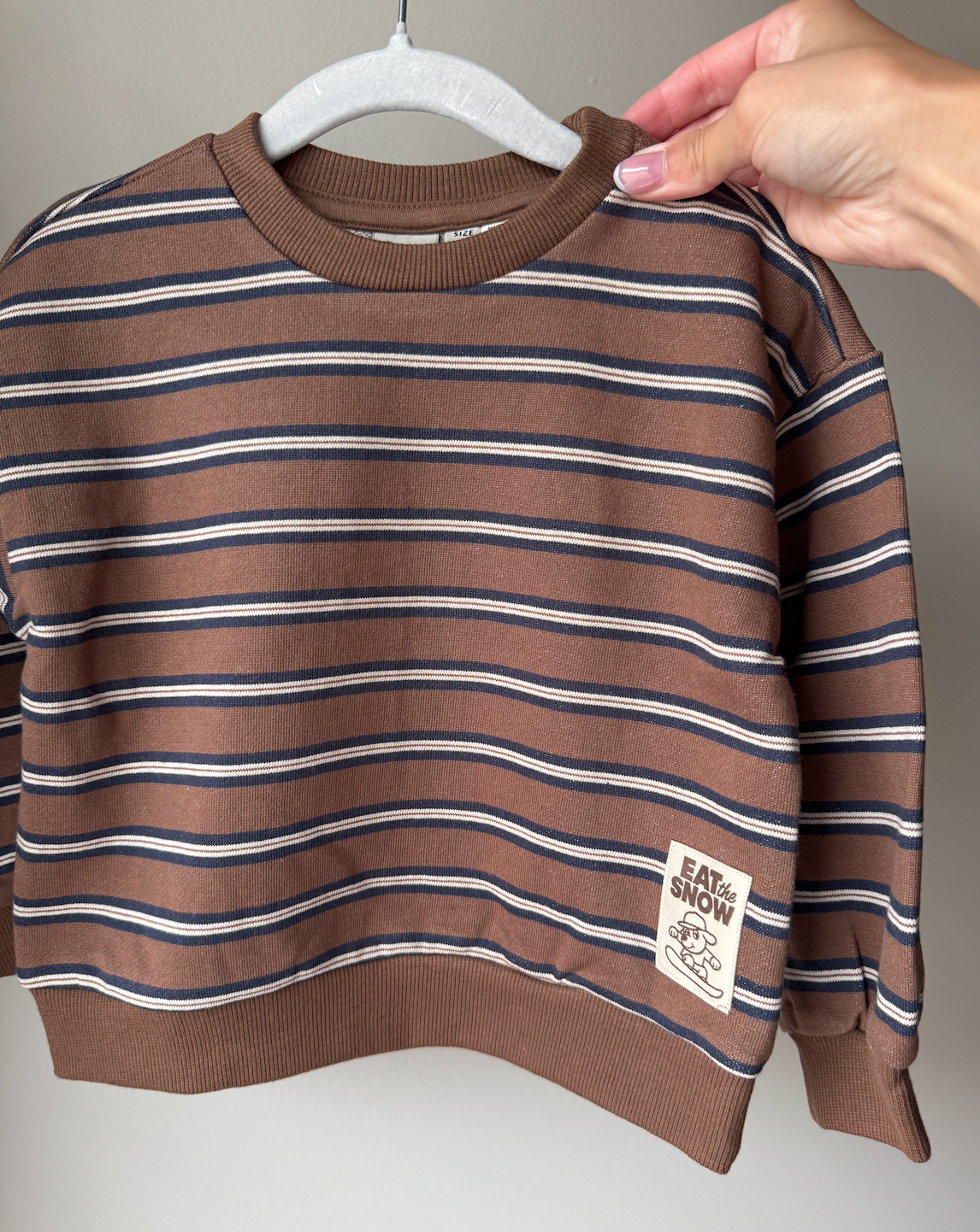 Almond Brown Stripe Crewneck